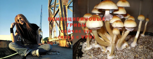 меф Богородск