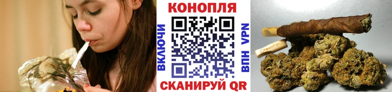 Бошки Шишки планчик  Короча 
